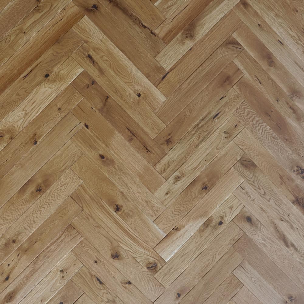 OAK LATIN HB