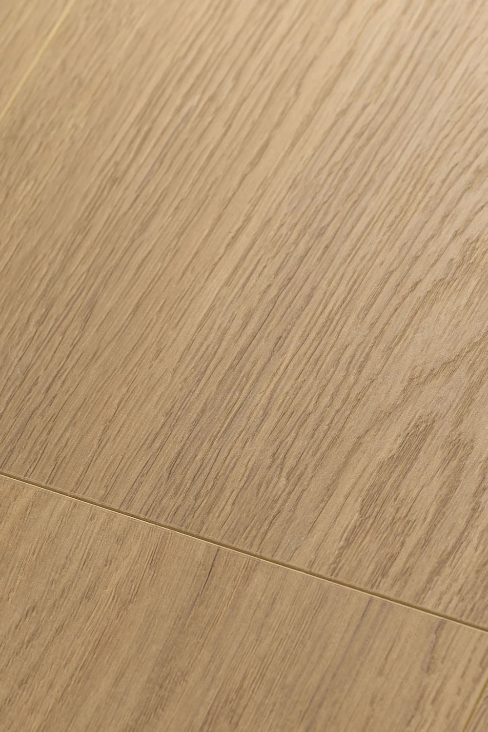 Дуб Констанция | Constanzo oak 1F319