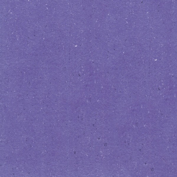 131-122 melrose violet