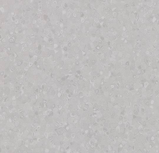 50008 silver grey