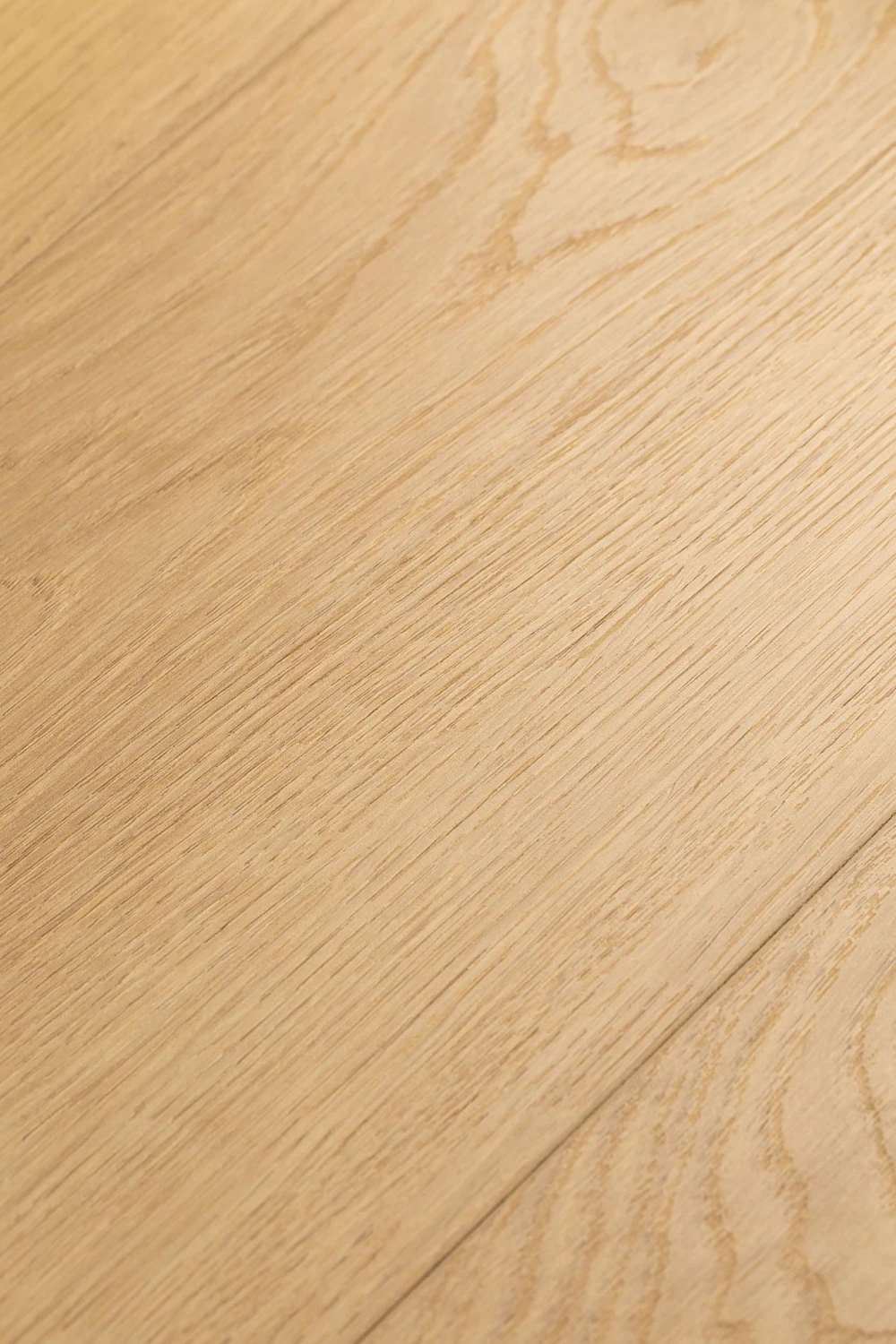 Дуб Умбра | Umbra oak 1F423