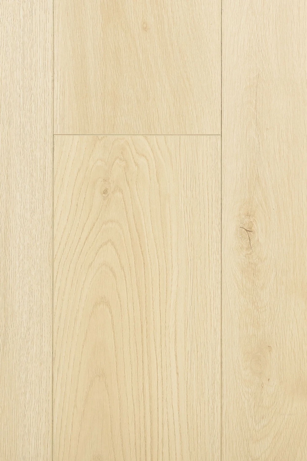 Дуб Бархано | Bahrano oak 1F402