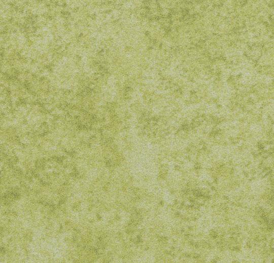 t590014 Calgary lime