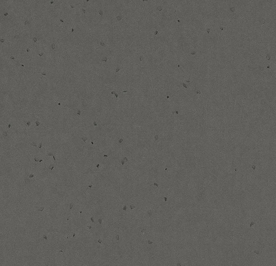 50250 ebony