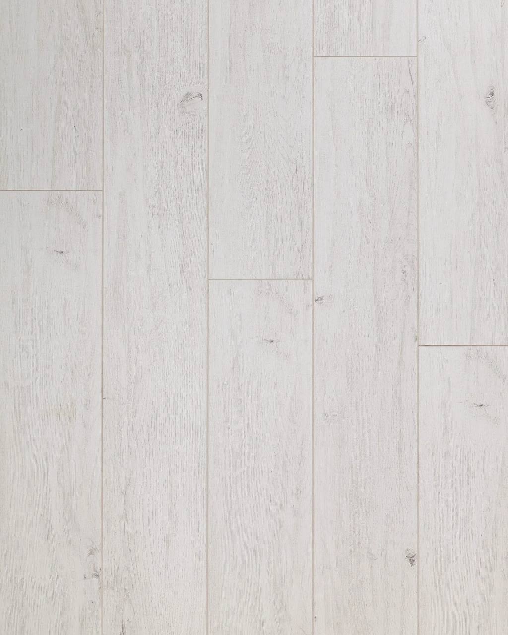 Wood 101 591349