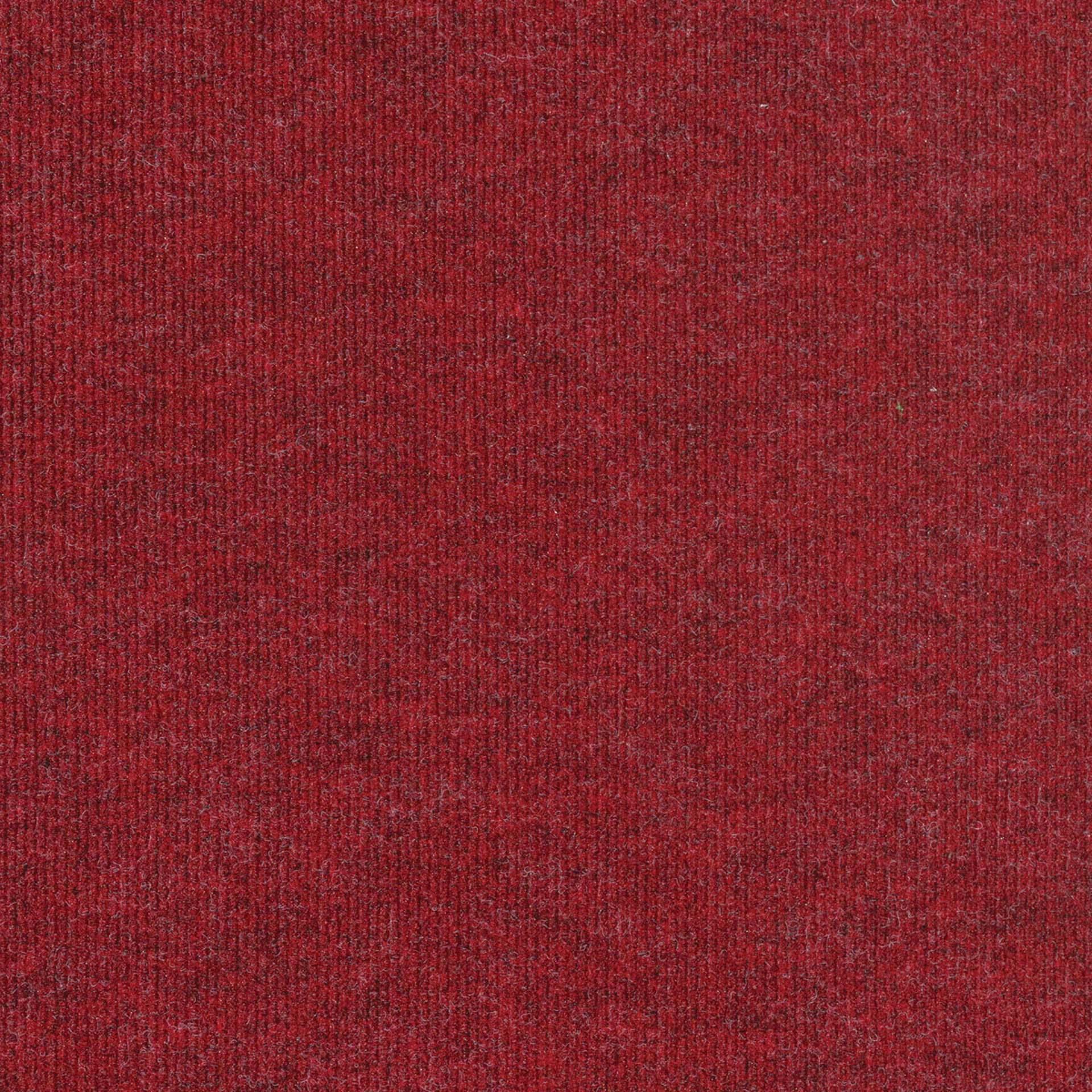 77653