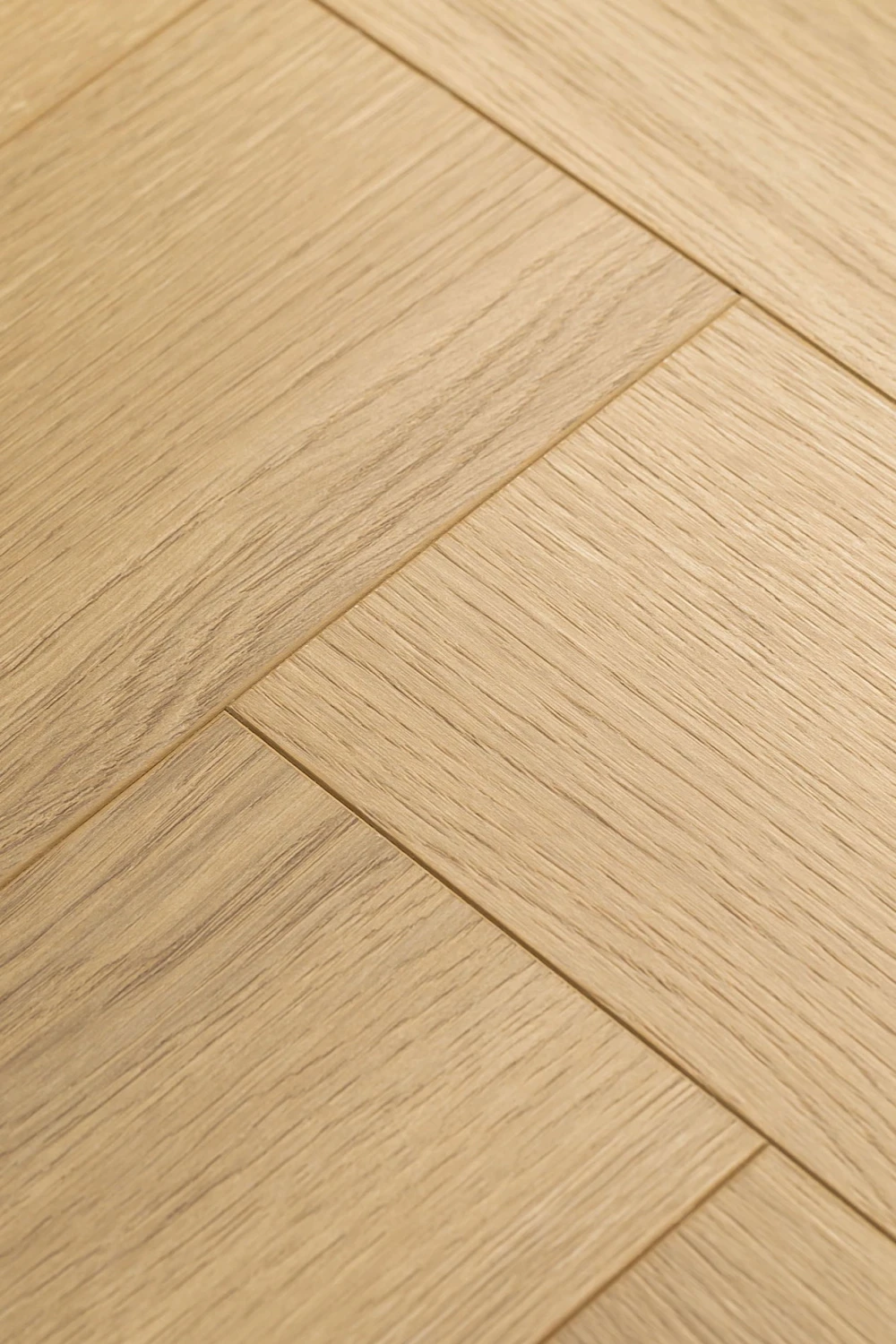 Дуб Констанция | Constanzo oak 1F335