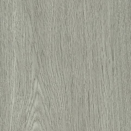9205 SILVERED OAK