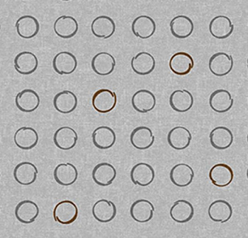 530036 Spin Latte