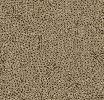 ECO 05-06