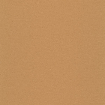101-075 linoleum brown