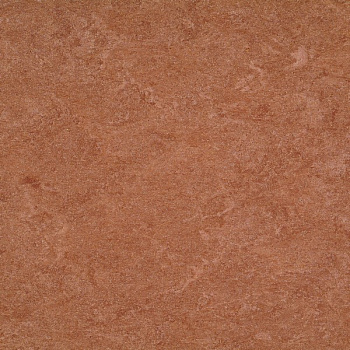 125-003 dark brown