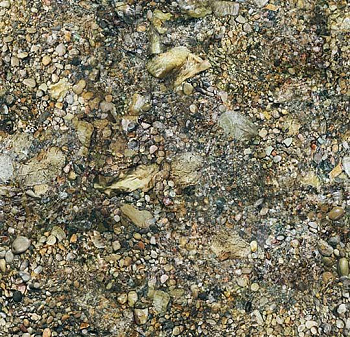 000368 riverbed