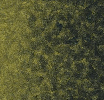 322012 Artist emerald / chartreuse B2
