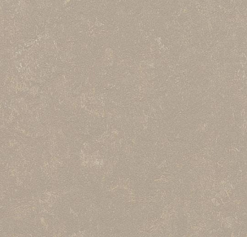 370835 fossil